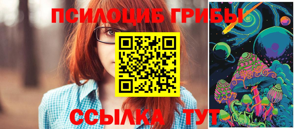 Елабуга  Псилоцибиновые грибы Psilocybe  Вход с VPN 