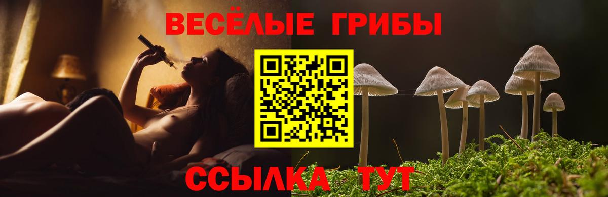 Бошки Шишки Елабуга